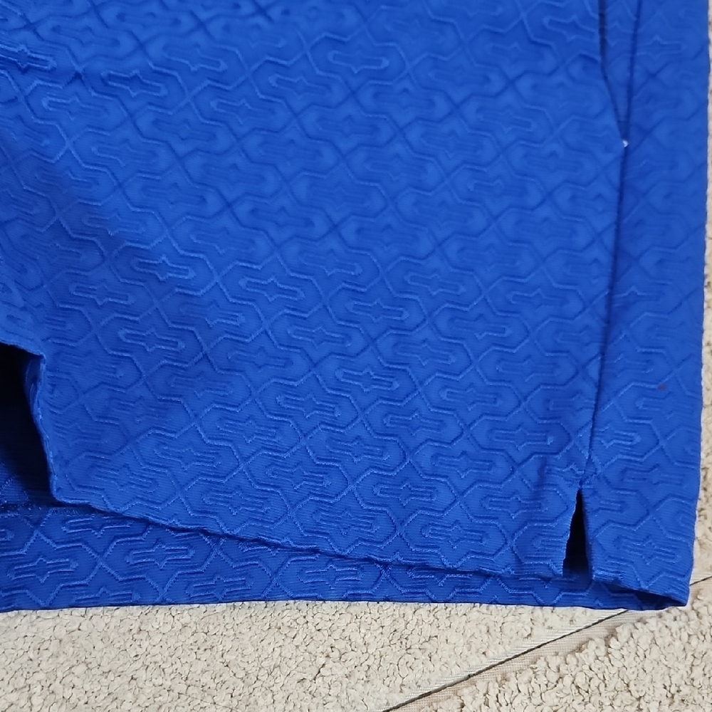 Banana Republic Women's Vibrant Cobalt Blue Textured Shorts Size 10 - Picture 5 of 8